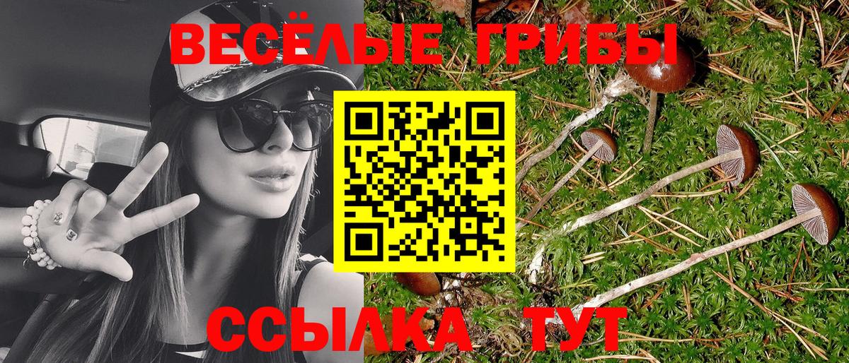 Псилоцибиновые грибы MAGIC MUSHROOMS  Вход с VPN  Псилоцибиновые грибы Psilocybe  Старый Оскол 